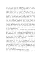 2025학년도 2학기기말과제사진영상론 16p-3