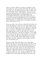 APEC 2025 경주선언 채택의 의미 - 글로벌 경제협력의 새로운 이정표와 아태 지역통합의 가속화-7