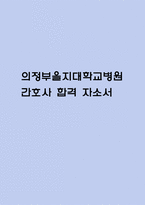 (의정부을지대학교병원 간호사 자기소개서) 의정부을지대학교병원 간호사 합격 자소서-1