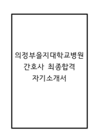 의정부을지대학교병원 간호사 자기소개서 - 의정부을지대학교병원 간호사 최종합격 자소서 (의정부을지대학교병원 자기소개서 BEST 예문)-1