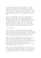 [정책분석론 2025년 2학기 기말과제] 1.정책대안의 평가기준에 대하여 3가지 이상 개념을 설명하고, 분석적 선택의 한계를 4가지 이상 설명하시오 2.AHP 분석의 특징과 일반절차를 설명하고, 강점과 약점에 대해 논하시오-4