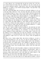 2025 대한항공 [IT개발] 자기소개서와 면접자료-4