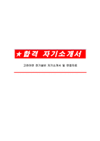 고려아연 전기설비 자기소개서 및 면접자료-1