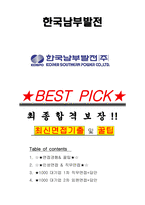 한국남부발전 면접기출(최신)+꿀팁[최종합격!] +1000대기업 1차 직무면접 + 2차 임원면접 최종합격자 답안-1