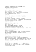 현대정치와행정 기말과제 9p-6