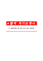 E1 채용연계형 인턴 재경 자기소개서, 면접자료-1
