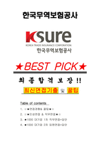 한국무역보험공사 면접기출(최신)+꿀팁[최종합격!] +1000대기업 1차 직무면접 + 2차 임원면접 최종합격자 답안-1
