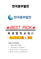 한국중부발전 면접기출(최신)+꿀팁[최종합격!] +1000대기업 1차 직무면접 + 2차 임원면접 최종합격자 답안-1