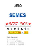 세메스 면접기출(최신)+꿀팁[최종합격!] +1000대기업 1차 직무면접 + 2차 임원면접 최종합격자 답안-1