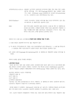 [경영학]우리기업의 경영전략-글로벌브랜드 전략-4