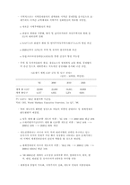 [경제] 세계경제통합 대응방안-5