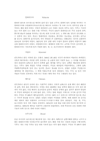 [사회] 동남아시아 개관-4