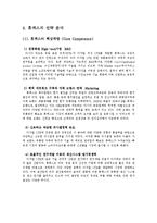[국제마케팅] 휴맥스(HUMAX)의 해외진출 및 마케팅 사례분석-9