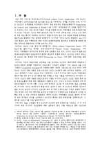 러시아 외교정책-2