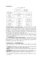 러시아 외교정책-4