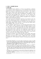 러시아 외교정책-8