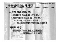 인도네시아 소설의 배경과 주제-12