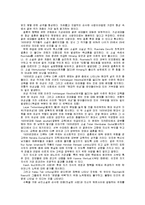 인도네시아 소설의 배경과 주제-11