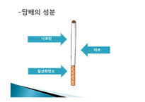 [영양학] 청소년 흡연 현황 및 영양실태-3