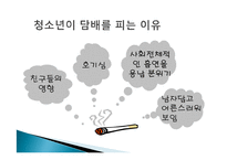 [영양학] 청소년 흡연 현황 및 영양실태-6