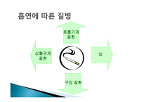 [영양학] 청소년 흡연 현황 및 영양실태-13