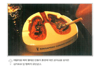 [영양학] 청소년 흡연 현황 및 영양실태-18