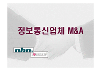기업합병 레포트-12