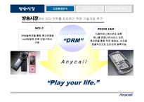 [마케팅전략] 삼성전자 Anycall(애니콜)의 마케팅 전략-11