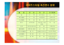 [소비자행동] 라이프스타일과 소비자행동-11
