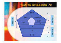 [소비자행동] 라이프스타일과 소비자행동-15
