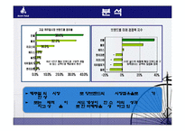 빈폴 마케팅전략 조사 사례분석-6