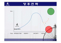 빈폴 마케팅전략 조사 사례분석-10