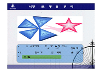 빈폴 마케팅전략 조사 사례분석-13