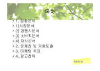 [광고기획론] 나트라케어 광고기획서-2