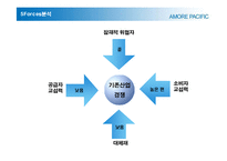 [현대기업] 아모레 퍼시픽 분석-11