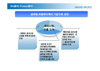 [현대기업] 아모레 퍼시픽 분석-14