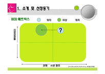 성형외과 마케팅전략방안-4