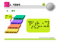 성형외과 마케팅전략방안-10