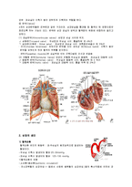 [간호학] 심장의 해부구조 생리-2