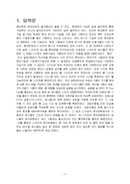 [통신공학] 스카이 단말기의 문자 변환 방식 사용성 개선 방안-3
