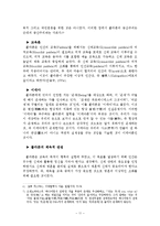 [체육학] 고대철학자의 체육교육yu-11