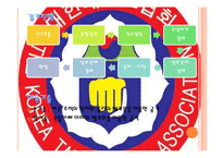 [기타] 태권도의 모든것을 PPT(파워포인트)-13