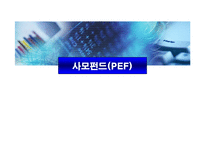 사모펀드(PEF) 레포트-1