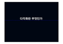 [경영전략] 유나이티드 항공사의 다각화-7