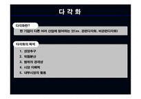[경영전략] 유나이티드 항공사의 다각화-8