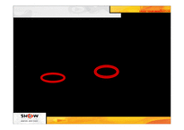 [소비자행동] KTF의 SHOW 쇼 광고전략-11