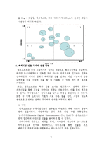 신시장 진출을 위한 e파트너십 -NC 소프트의 해외 진출 사례분석-13