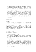 신시장 진출을 위한 e파트너십 -NC 소프트의 해외 진출 사례분석-16