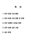 [운영관리] 한국 SCM 도입 현황 및 나아갈 방향-2