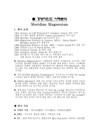 [경영마인드 사례분석] Meridian Magnesium사 사례분석-2